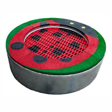 Colorful Circle - Coccinella