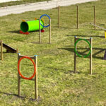 Giochi per parchi - Agility dog
