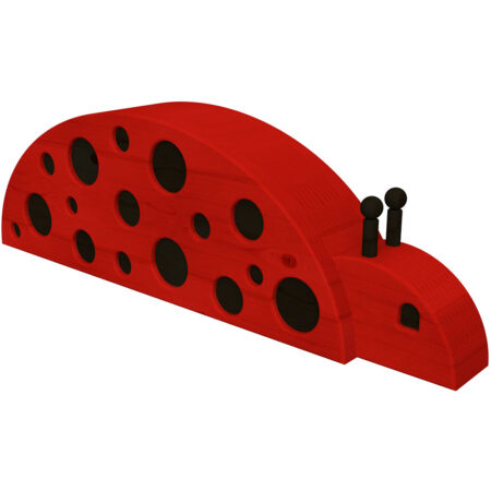 Coccinella